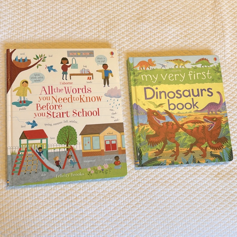 Usborne Book Bundle : Set of 2